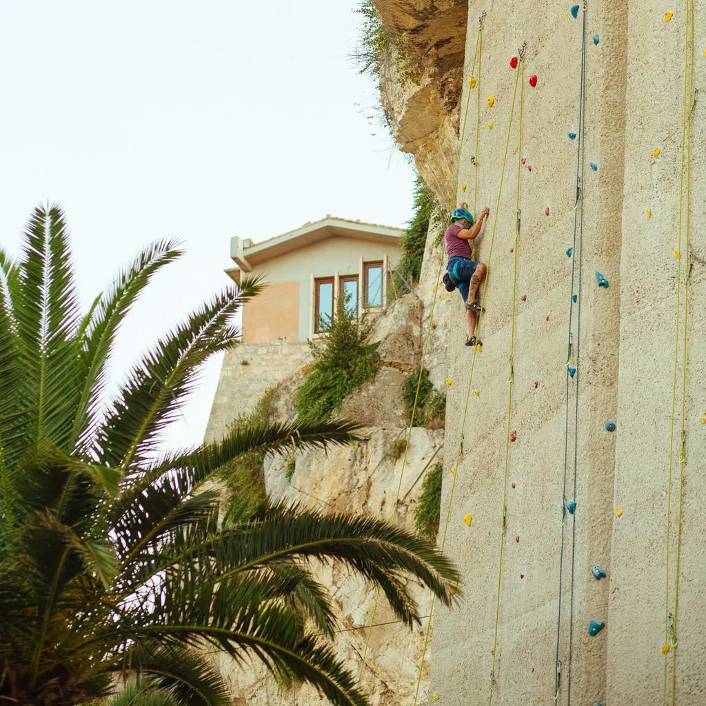 An outdoor shot capturing a person actively rock climbing on a tall, purpose-built climbing wall, with an adjacent natural rock formation. A building and a palm tree are visible in the background.