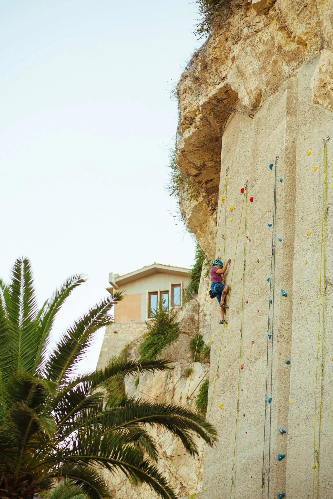 An outdoor shot capturing a person actively rock climbing on a tall, purpose-built climbing wall, with an adjacent natural rock formation. A building and a palm tree are visible in the background.