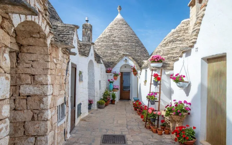 This image showcases the unique 'trulli' architecture of Alberobello, Italy. The composition effectively uses the narrow street and the distinct houses to create depth and draw the viewer's eye. The natural daylight provides excellent, even lighting, highlighting the textures of the stone roofs and whitewashed walls without harsh shadows. The image is very sharp, clearly rendering details on the buildings and the vibrant potted flowers. Colors are accurate and natural, contributing to a highly photo-realistic appearance. All key elements, from the foreground path to the houses in the background, are in sharp focus.