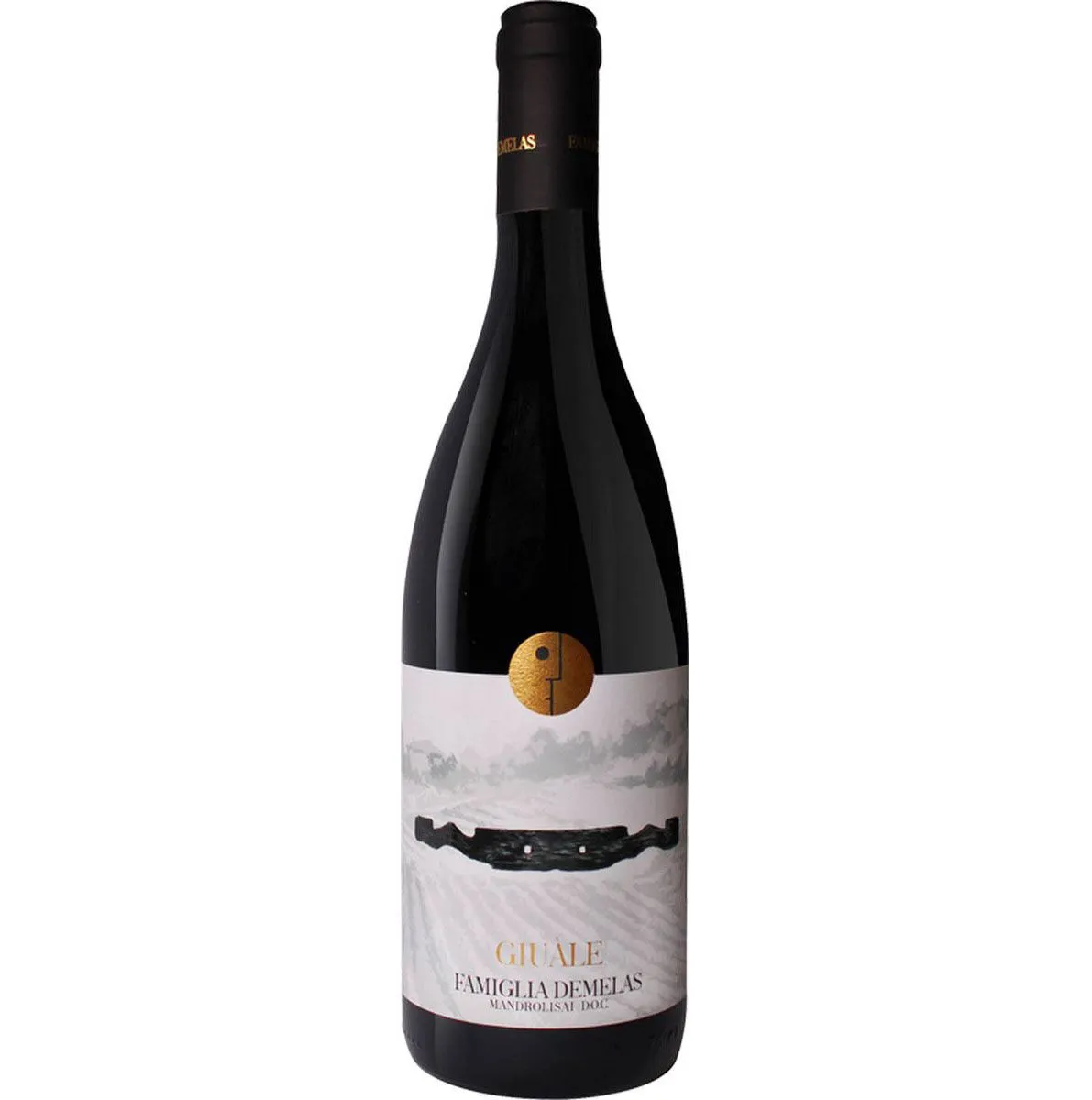 A professionally taken, high-quality product photograph of a wine bottle.