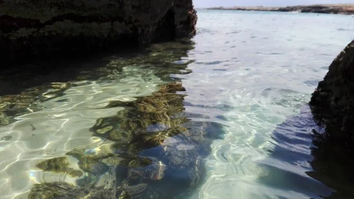 The image features exceptionally clear, well-lit water revealing submerged rocks and coral, creating a serene and photo-realistic depiction of a marine environment. The colors are accurate, and key elements are in sharp focus. While the composition effectively captures the transparency of the water, a more defined focal point could enhance its visual impact.