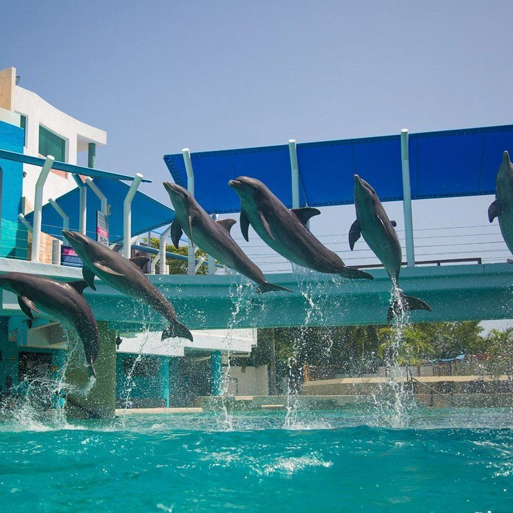 Interactive Aquarium Cancún - 3