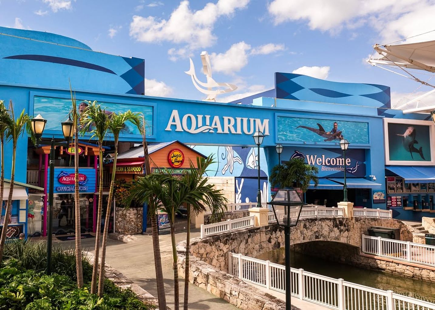 Interactive Aquarium Cancún - 4