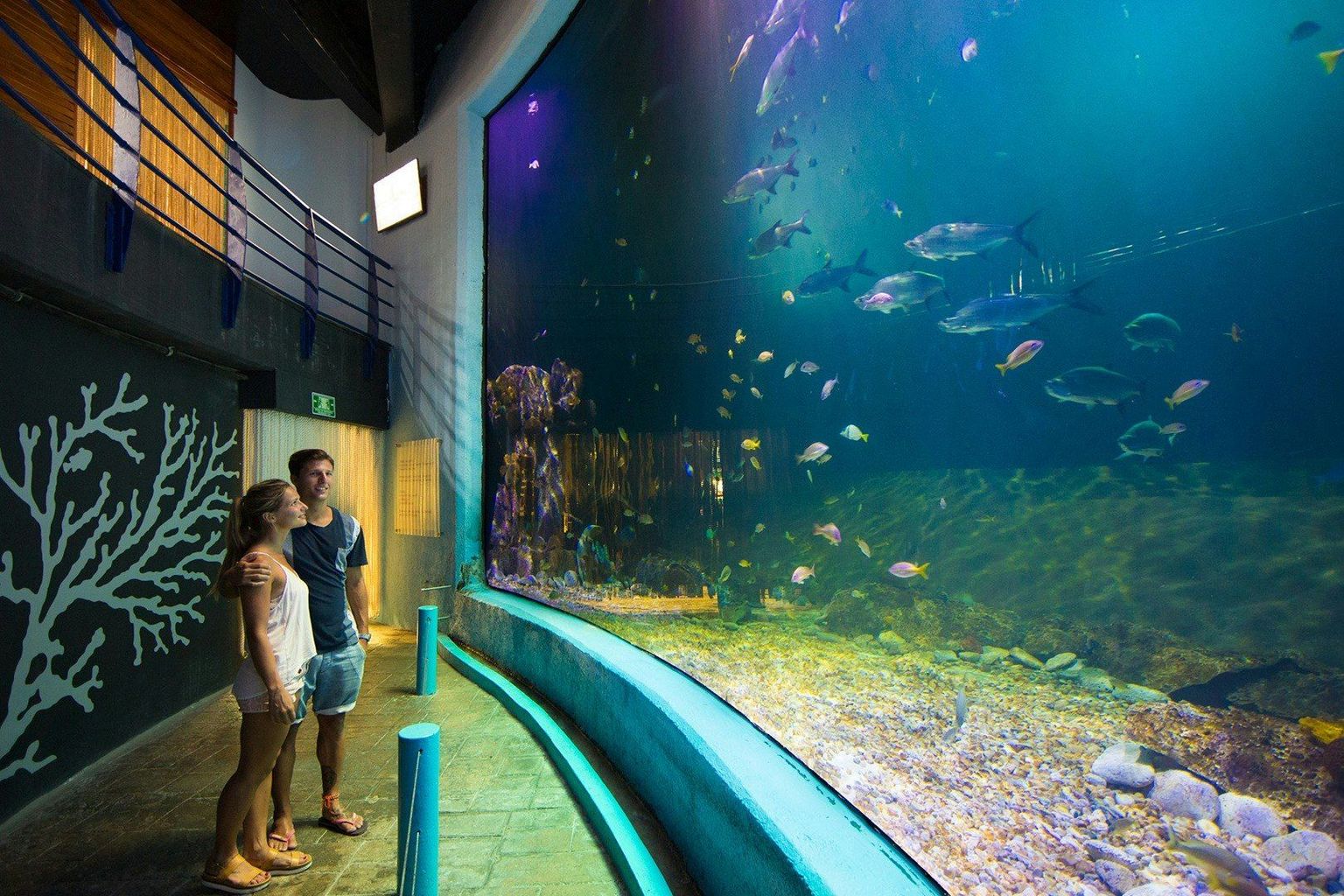 Interactive Aquarium Cancún - 5