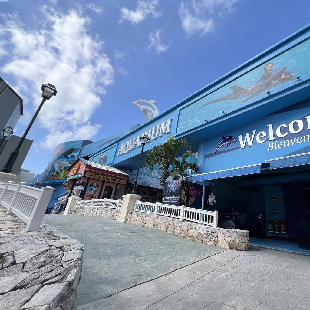 Interactive Aquarium Cancún - 1