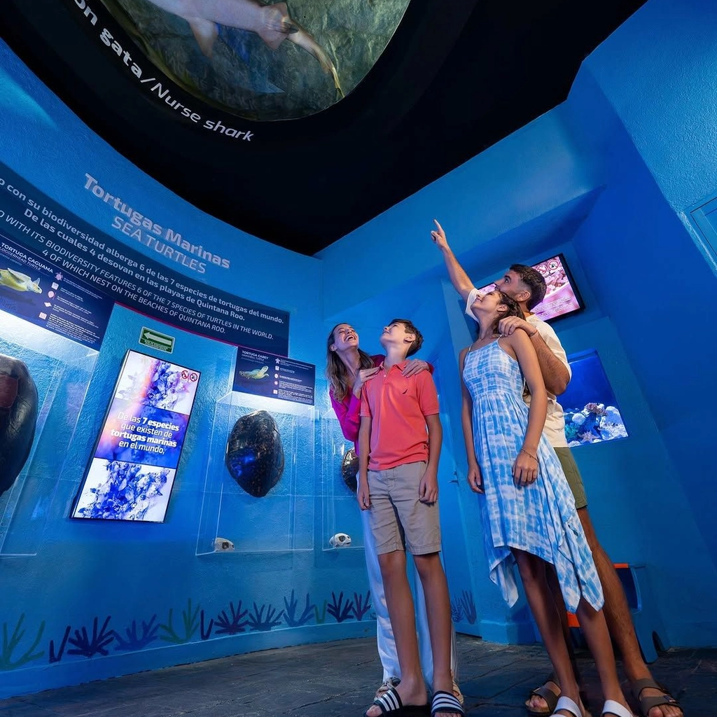 Interactive Aquarium Cancún - 2