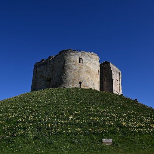 This image is a well-composed, well-lit, and sharp photograph of a castle tower. The composition is balanced, with the tower positioned slightly off-center, creating a sense of depth and interest. The lighting is excellent, with the sun illuminating the tower and the surrounding grass. The image is sharp, with clear details visible throughout. The colors are accurate and vibrant, capturing the beauty of the scene. The key elements, including the tower and the daffodils, are in focus. The image is photo-realistic and does not contain any unwanted elements. Overall, this image is a high-quality photograph that effectively captures the beauty and grandeur of the castle tower.