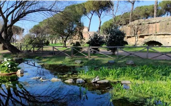 A serene outdoor scene featuring a pond or small stream with clear reflections of trees and sky, bordered by a rustic wooden fence and vibrant green grass. In the background, there are more trees and natural rock formations, suggesting a park or natural preserve on a clear day.