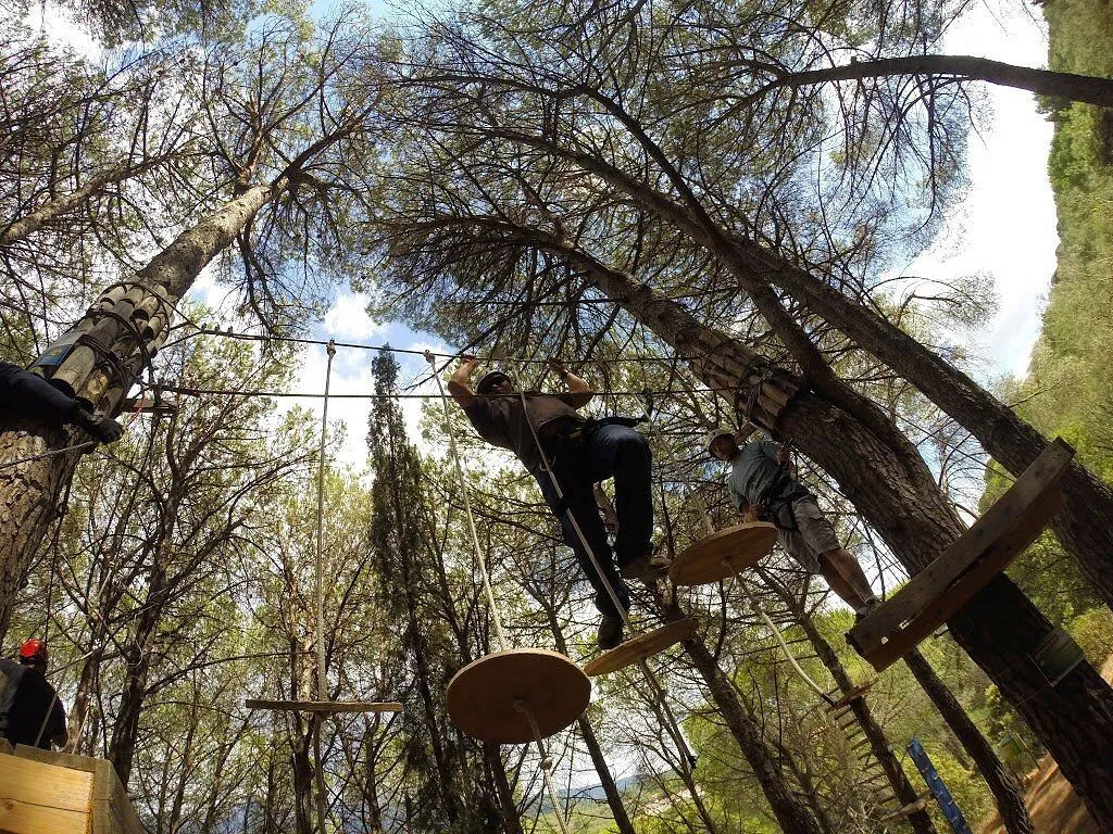 An image capturing a person navigating an aerial ropes course amidst tall trees, viewed from a low angle. Another person is visible further along the course. The composition emphasizes the height and adventurous nature of the activity.