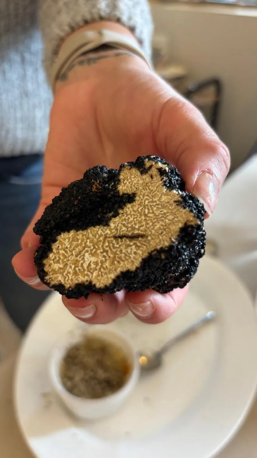 A close-up image of a black truffle cut in half, revealing its marbled interior, held in a hand. The background is blurred.