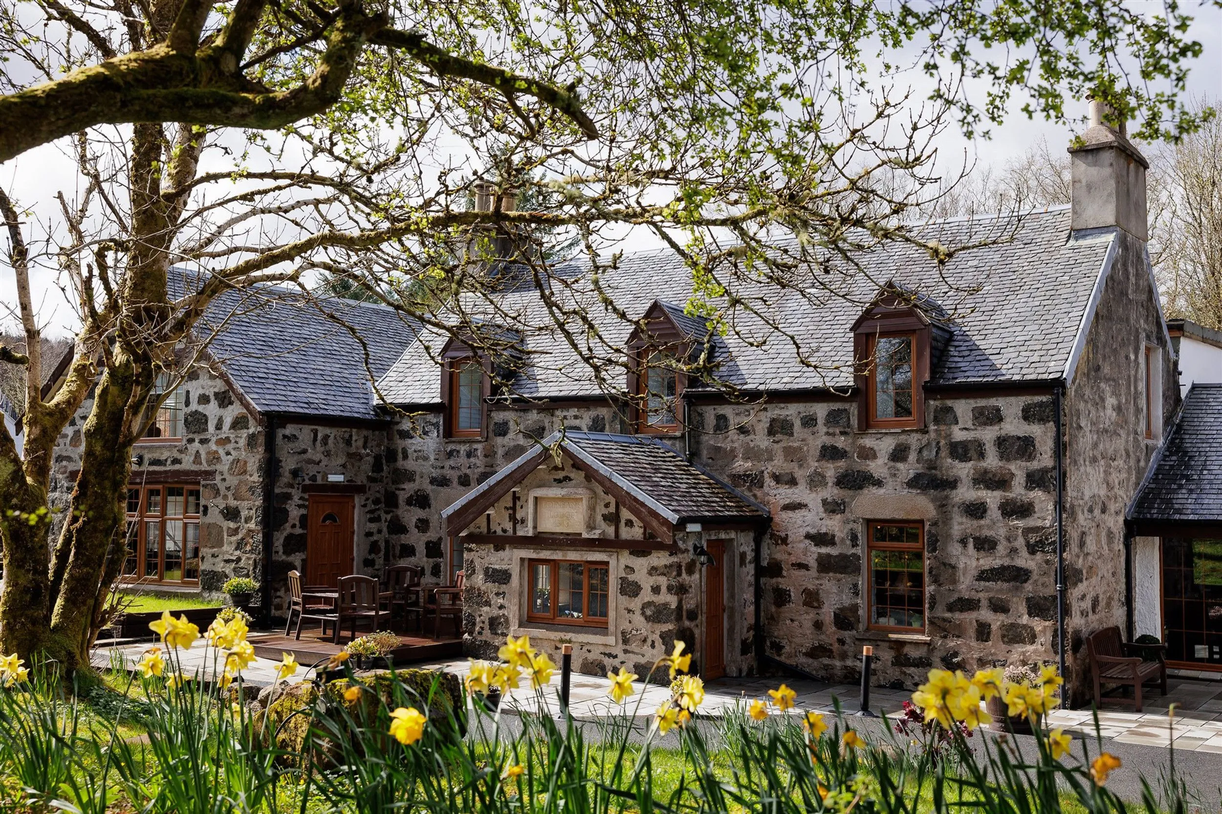 An inviting stone building with multiple gables and a slate roof, framed by lush tree branches and vibrant yellow daffodils in the foreground. A small wooden deck with seating is visible outside one of the entrances, suggesting a welcoming atmosphere.