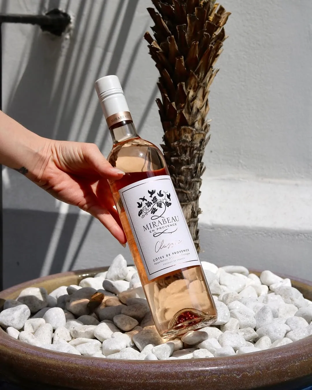 A close-up, well-lit shot of a rosé wine bottle, held by a hand, resting on white decorative pebbles with a palm tree and white wall in the background under natural sunlight.
