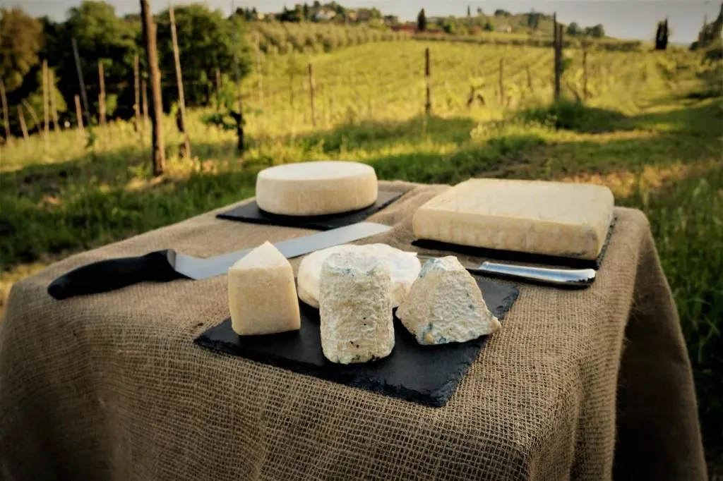 The image effectively showcases a variety of cheeses in an outdoor, rustic setting. The composition is generally good, with the cheeses well-arranged on the table, and the natural background adds context. Key elements (the cheese) are in sharp focus, and the image is highly photo-realistic with accurate colors. However, the lighting is a bit uneven, with some harsh highlights and shadows, which slightly detracts from overall visual appeal. While generally sharp, some parts of the cheese display minor softness.