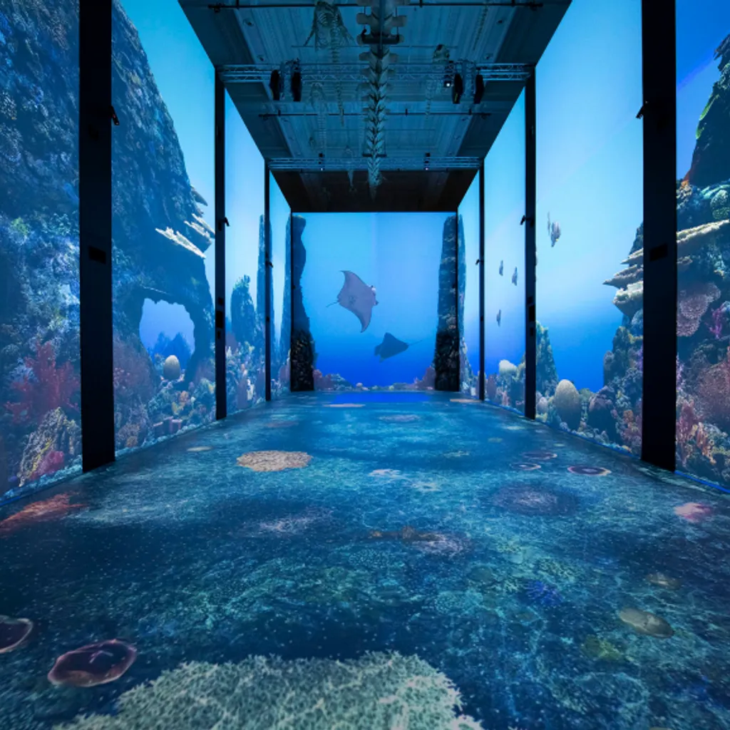 Musée océanographique de Monaco - 1