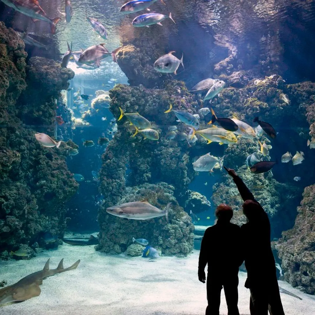 Musée océanographique de Monaco - 2