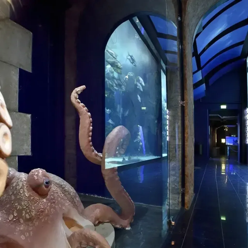 Musée océanographique de Monaco - 4