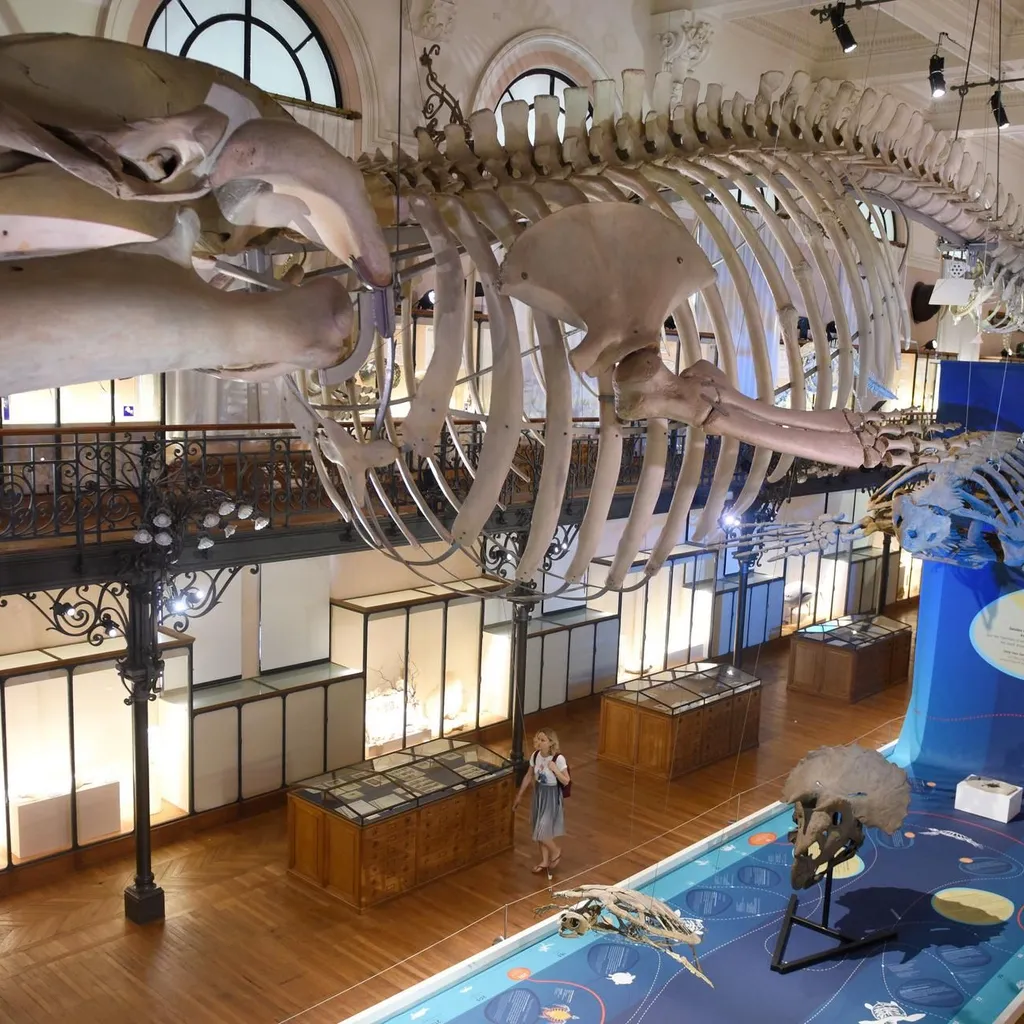 Musée océanographique de Monaco - 9