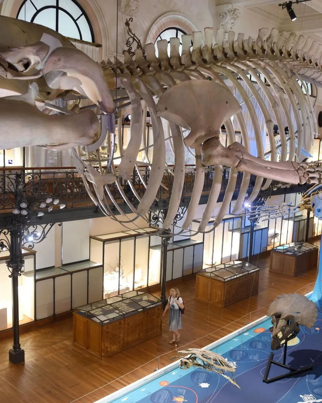 Gallery image 9