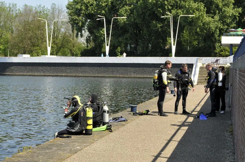 An outdoor scene featuring several divers in full gear by the edge of a body of water on a sunny day. Trees and modern light structures are visible in the background.