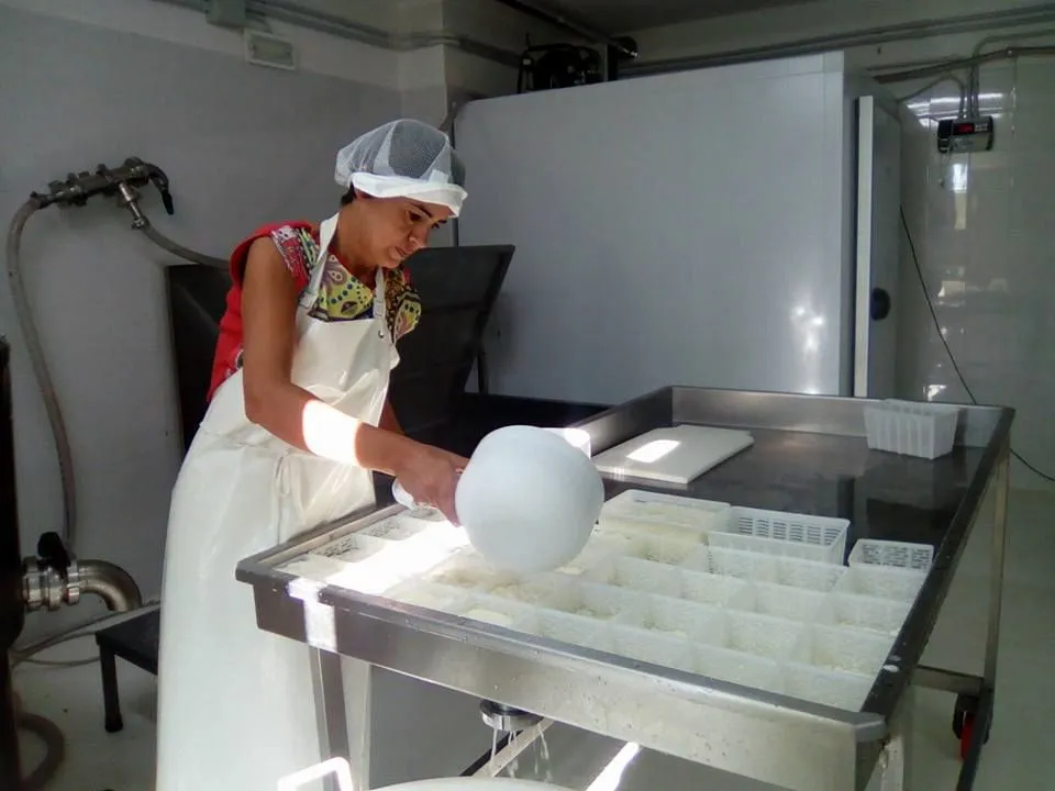 An editorial-style image showing a person in a clean work environment, wearing an apron and hairnet, handling a large white food product (likely cheese or a dairy product) over a table with smaller white pieces in trays. The setting appears to be a food manufacturing or processing facility.