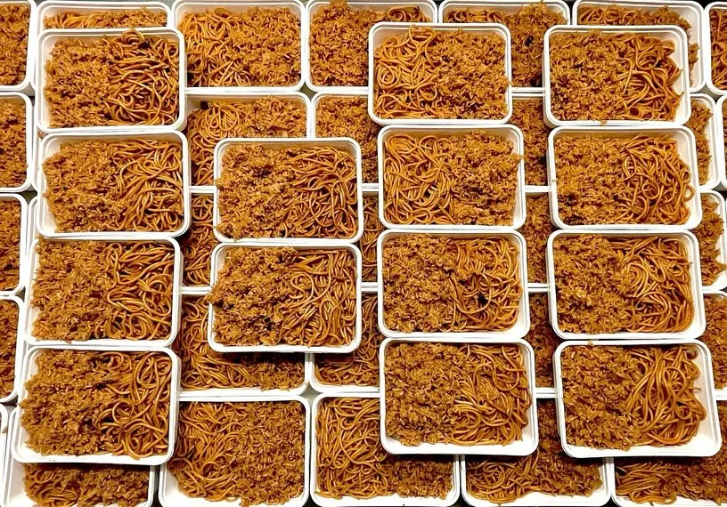 An overhead shot displaying numerous rectangular white containers filled with spaghetti and ground meat, arranged in a grid-like pattern. The lighting is even, and the image is sharp, highlighting the texture of the noodles and meat.