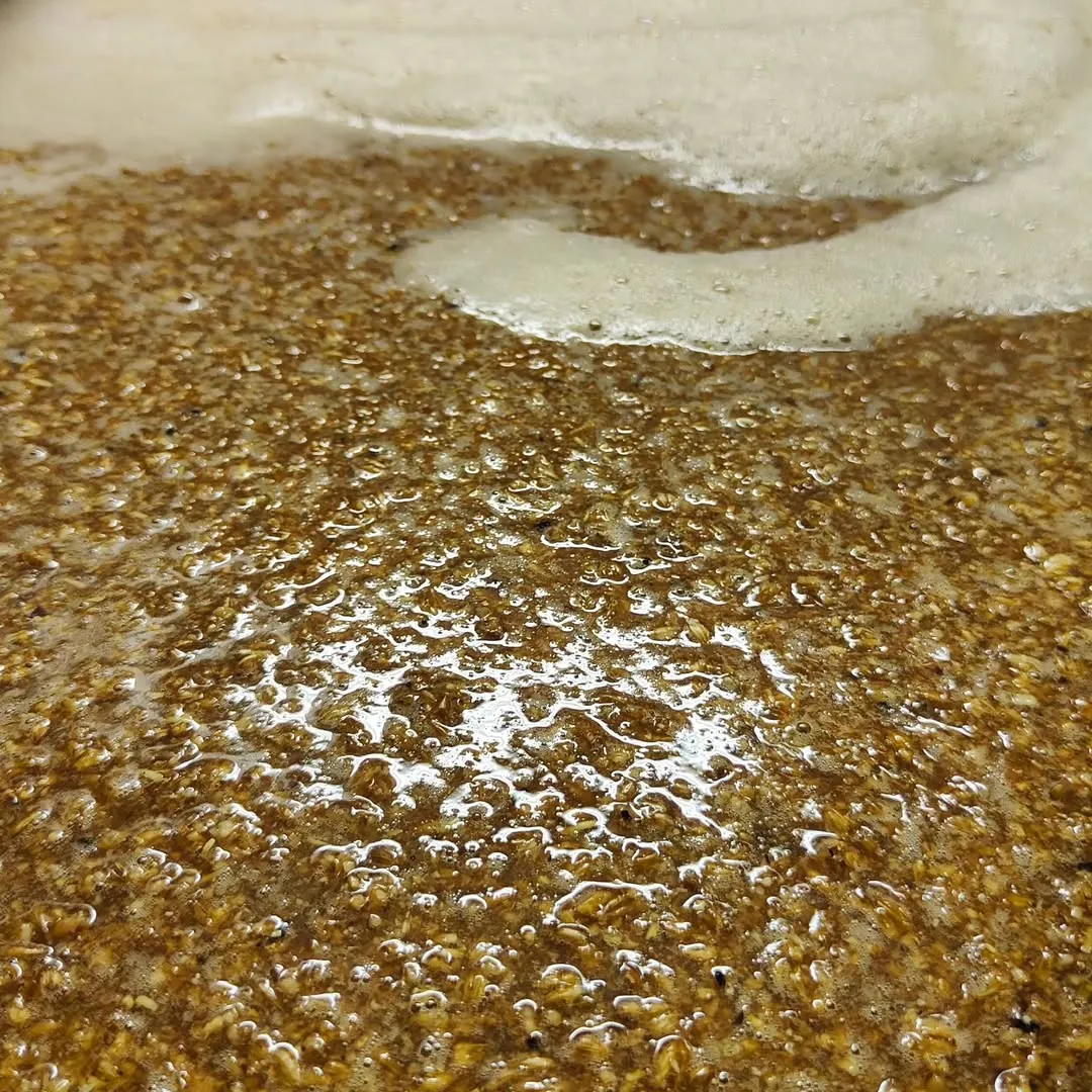 A close-up shot of wet grains and a frothy, bubbling liquid, likely depicting a stage in the brewing or mashing process. The image focuses on the texture and intricate details of the grains and surface foam.