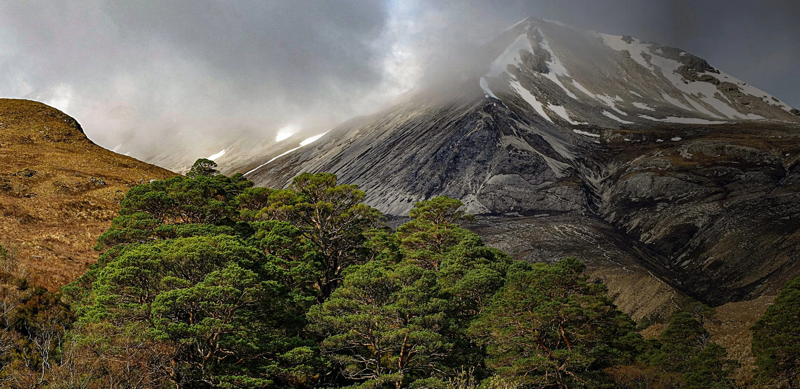 An image depicting a lush green forest in the foreground with a towering, snow-capped mountain partially shrouded in clouds in the background.