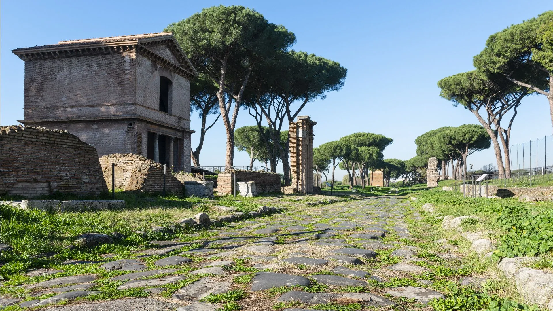 An ancient stone-paved road, likely Roman, stretches into the distance, flanked by weathered brick ruins and tall, distinctive pine trees under a clear, bright blue sky.