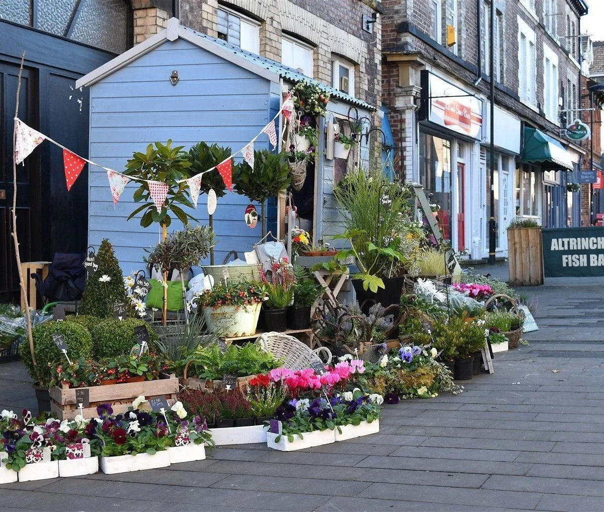An inviting street-side flower and plant display featuring a small blue shed. The scene is well-composed with a vibrant array of potted plants and flowers, giving a natural and appealing look.