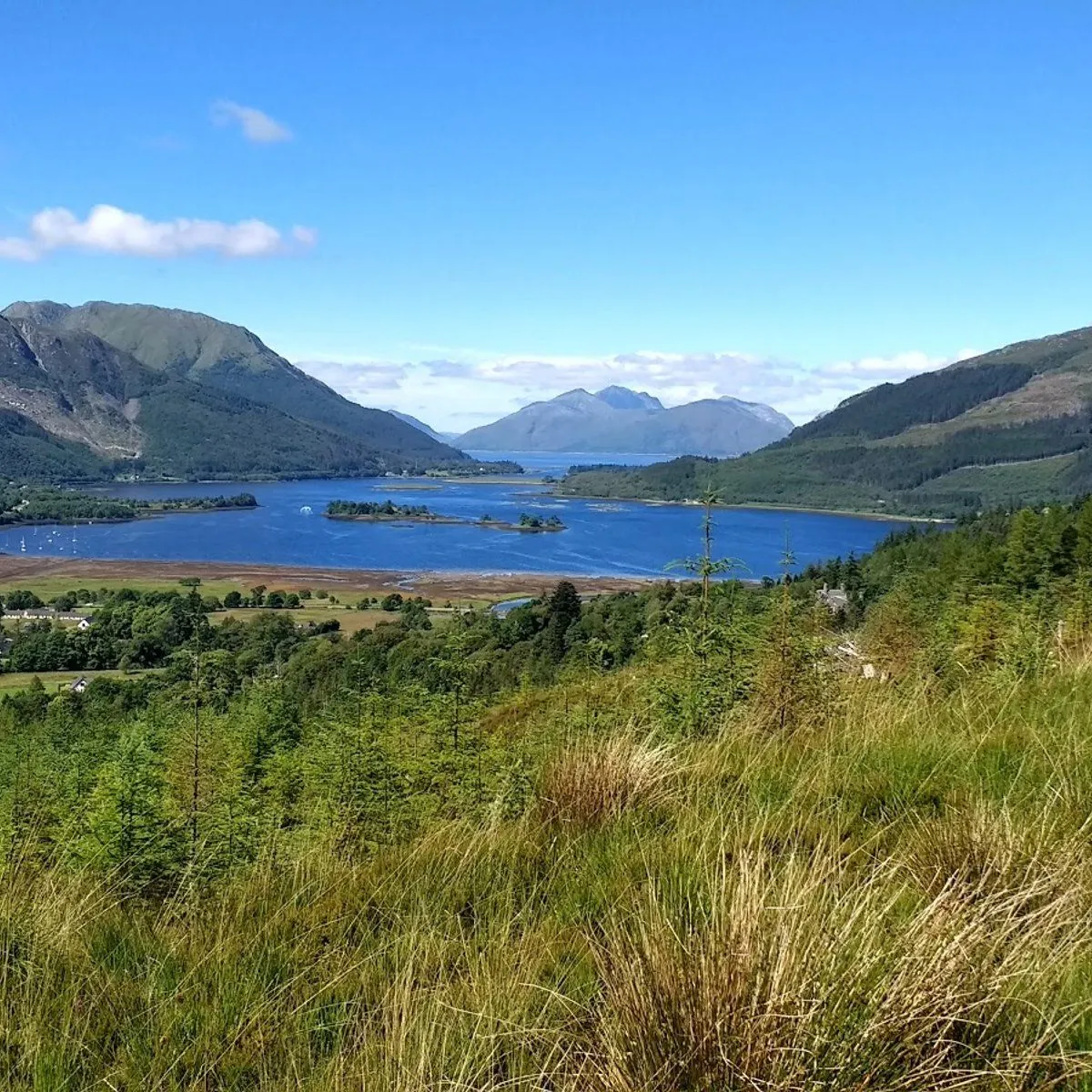 A beautiful panoramic view of a large blue loch or fjord nestled between verdant mountains under a bright blue sky. The foreground consists of lush green grass and trees, leading the eye towards the expansive body of water with small islands and distant peaks.
