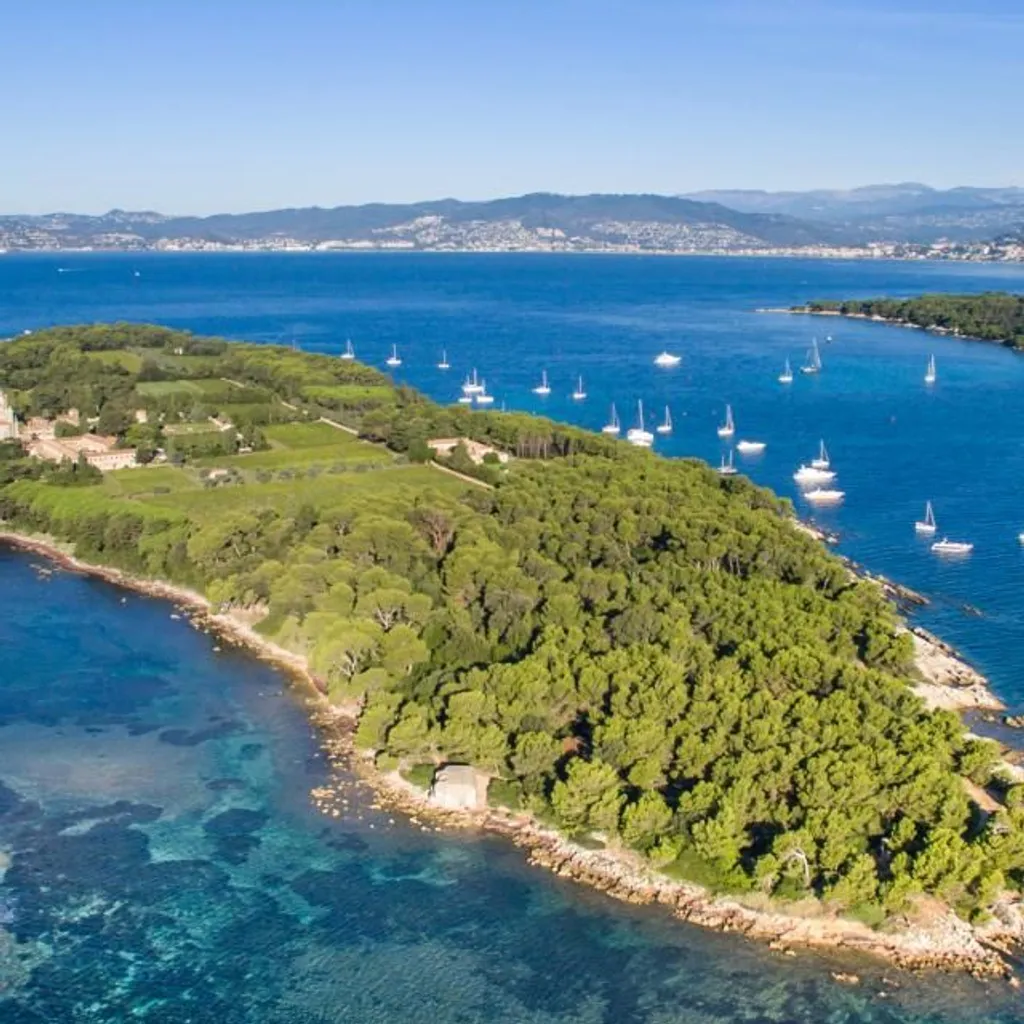 Île Saint-Honorat - 3