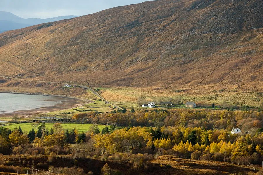 An editorial quality image showcasing a scenic autumn landscape. The photograph captures a vast mountain slope, a body of water, a winding road, and dense clusters of trees displaying vibrant golden and yellow fall foliage. A few buildings are nestled in the valley. The overall scene is peaceful and well-composed.