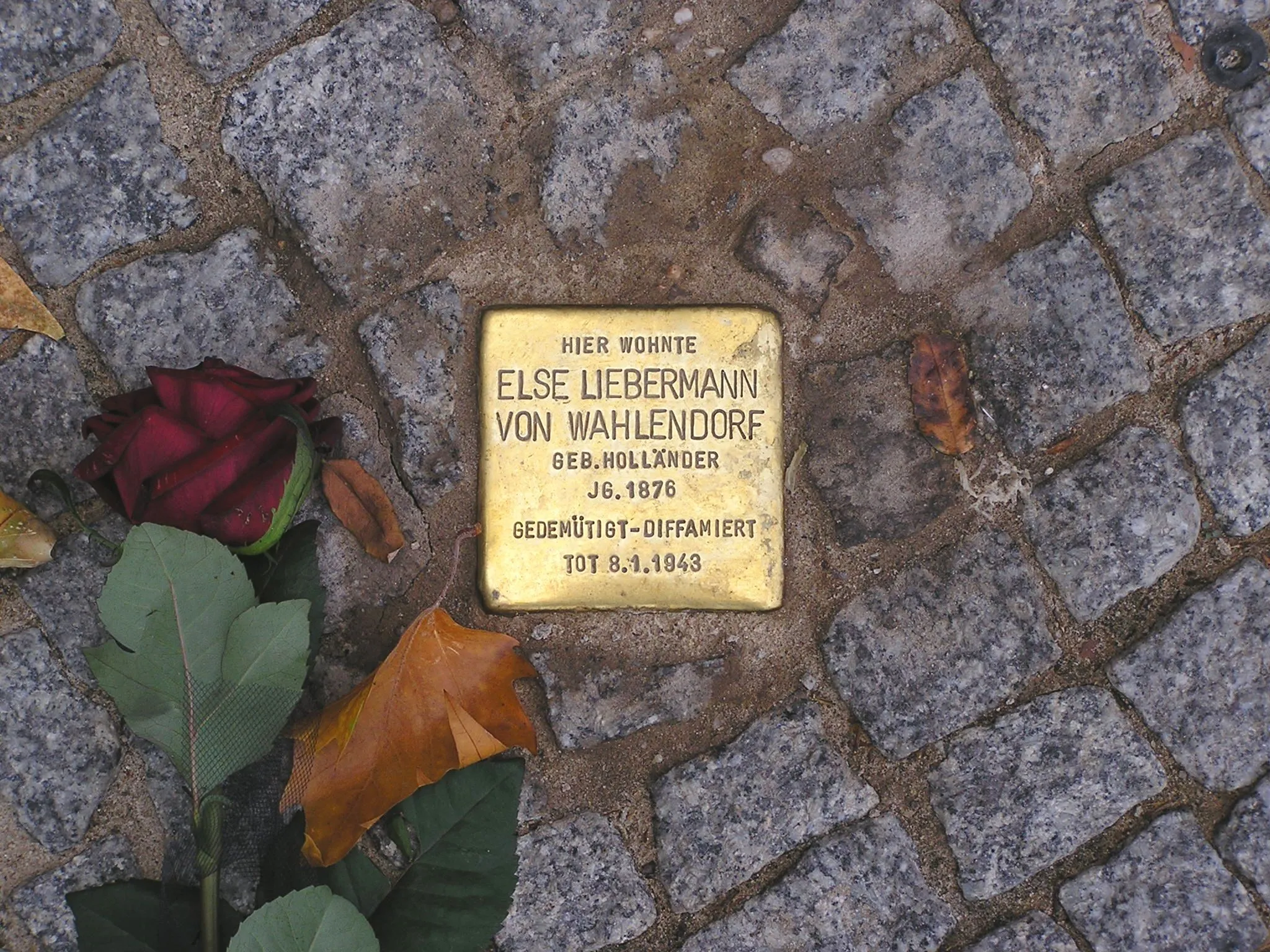 A detailed, eye-level photograph of a brass Stolperstein (stumbling stone) memorial plaque embedded in a cobblestone pavement. The plaque, dedicated to "ELSE LIEBERMANN VON WAHLENDORF," is sharply in focus, with the surrounding grey cobblestones and a few fallen autumn leaves also clearly visible.