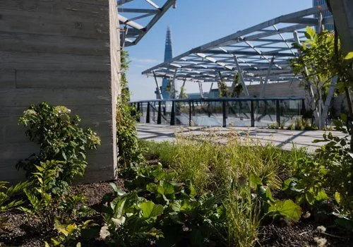 An image depicting a modern rooftop garden or terrace, featuring lush green plants in the foreground, a concrete structural element, and an intricate metal and glass canopy. The background reveals a prominent skyscraper, The Shard, under a clear blue sky. The scene is well-lit and sharp, with natural color accuracy.