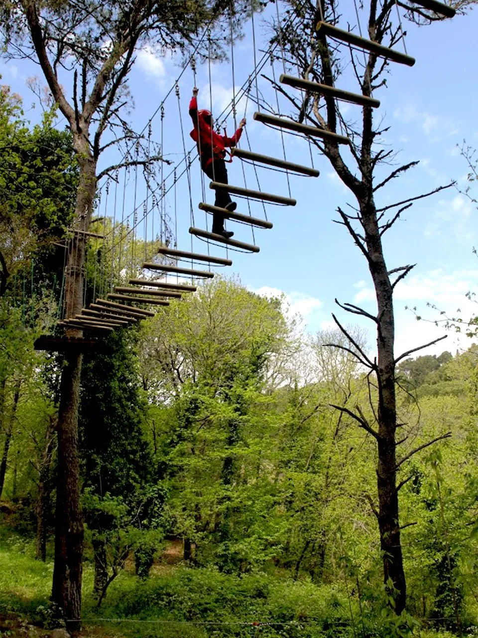 An image capturing a person traversing a rope bridge high in a forest. The subject is seen from behind, dressed in red, moving upwards on the bridge suspended between two large trees. The scene is set against a bright blue sky with lush green foliage surrounding the activity.