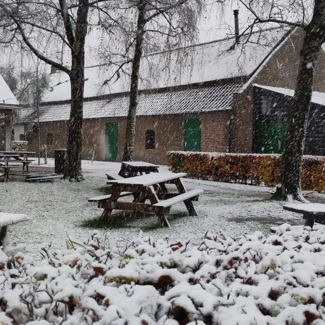 A serene winter scene featuring traditional brick buildings with green doors, bare trees, and wooden picnic tables lightly covered in freshly fallen snow. Snowflakes are visibly falling, creating an atmospheric outdoor setting.
