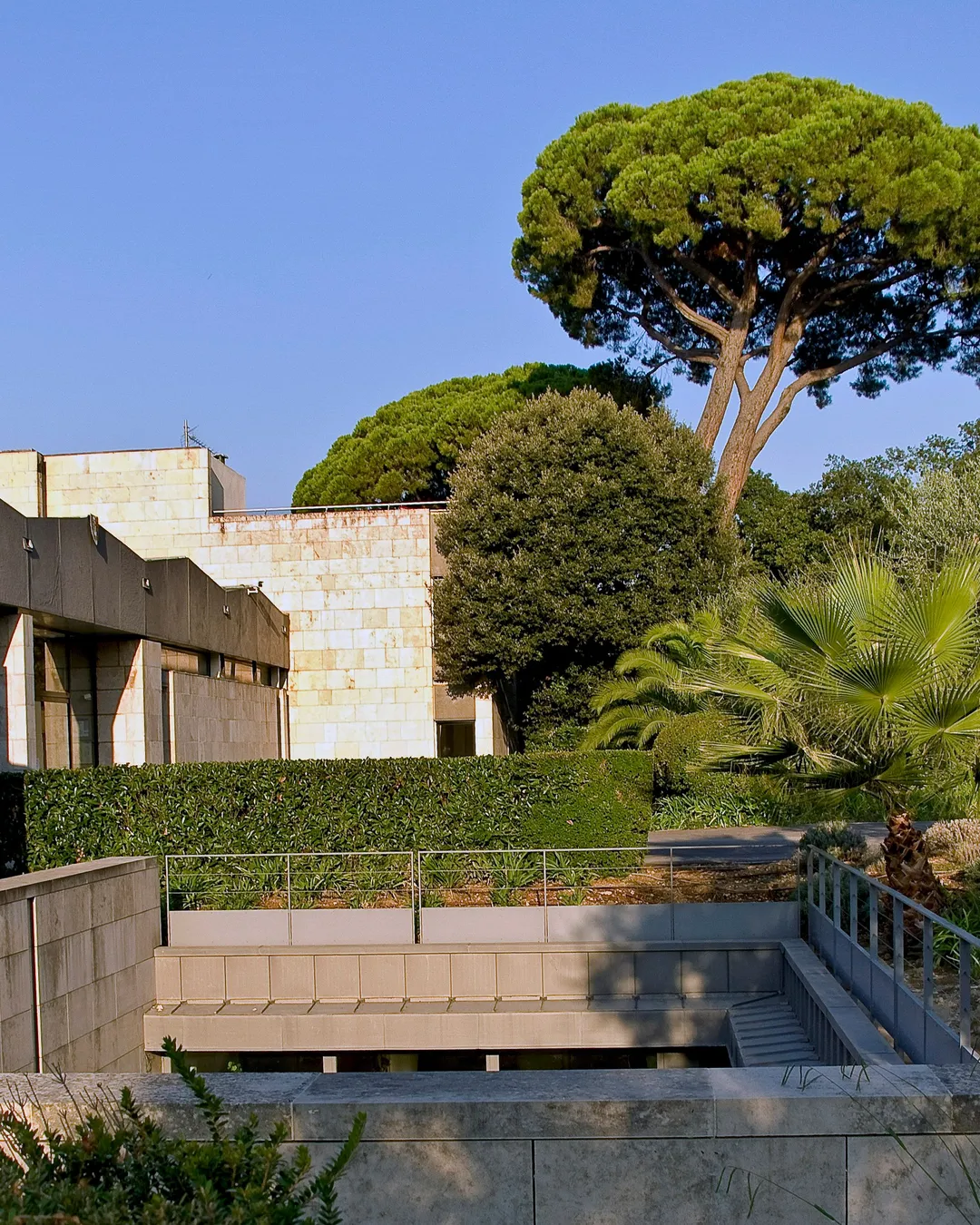 Gallery image 6