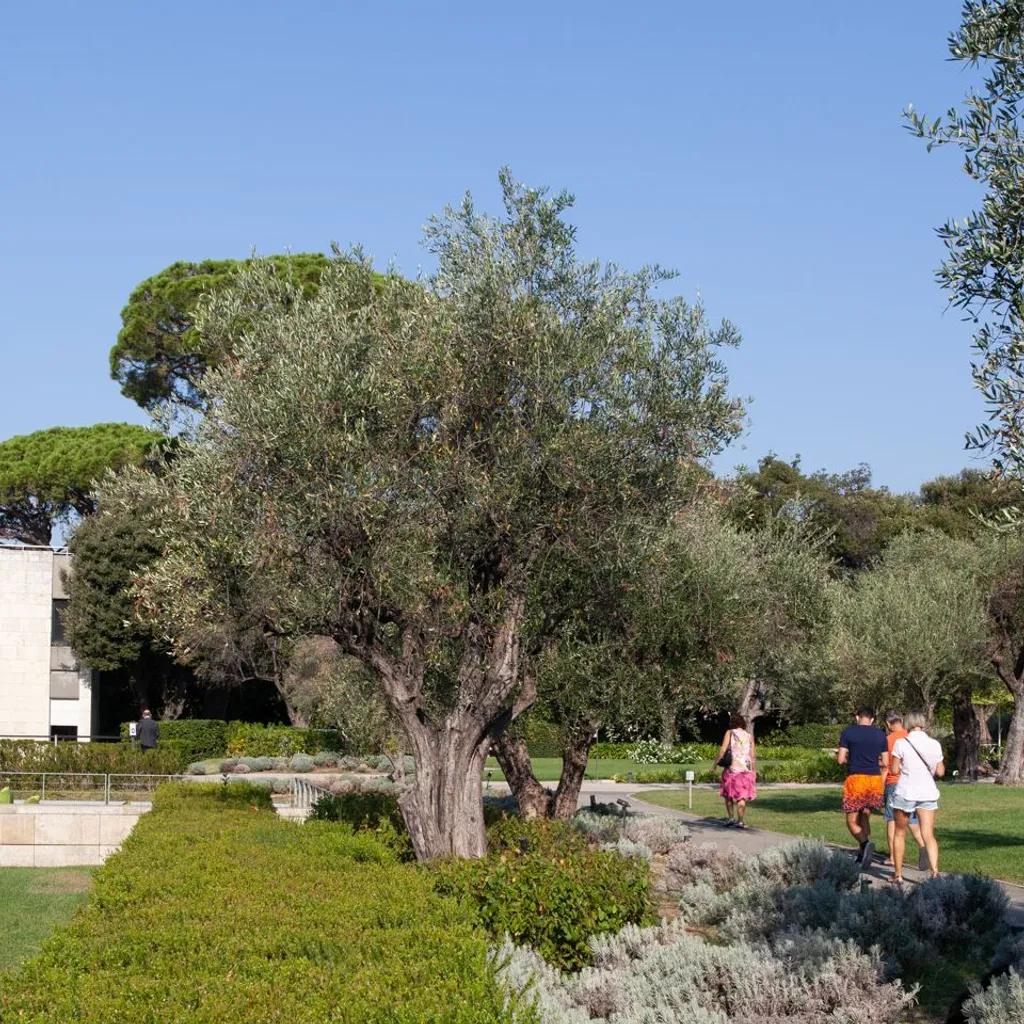 Marc Chagall National Museum - 2