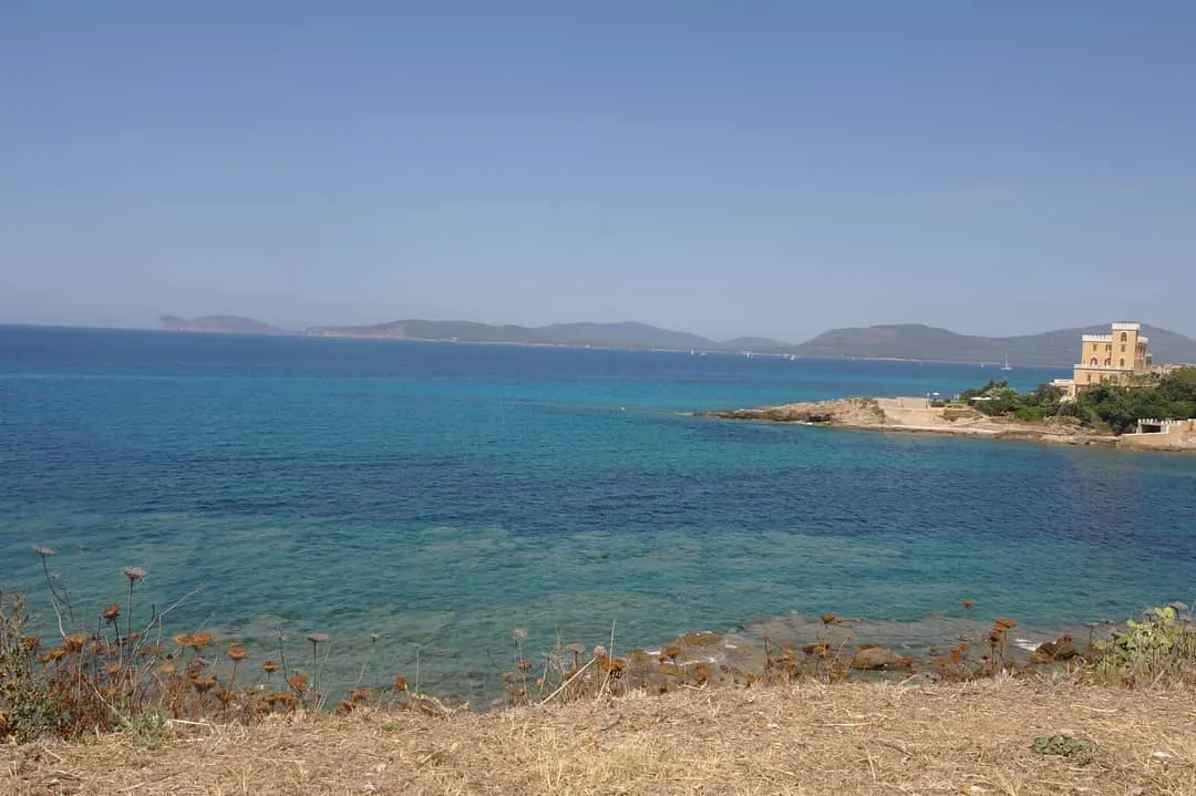 A serene landscape showcasing a vibrant blue sea with varying shades, leading to distant landmasses under a clear, bright sky. The foreground includes dry vegetation and rocks.