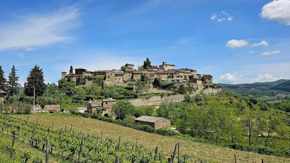 The image displays excellent natural lighting, resulting in well-exposed details across the scene. Sharpness is very good throughout, with key elements like the village buildings and foreground vineyards appearing clear and detailed. Colors are accurate and vibrant, contributing to a highly photo-realistic representation. The composition is strong, effectively capturing the charm of the hilltop village within its rural setting.
