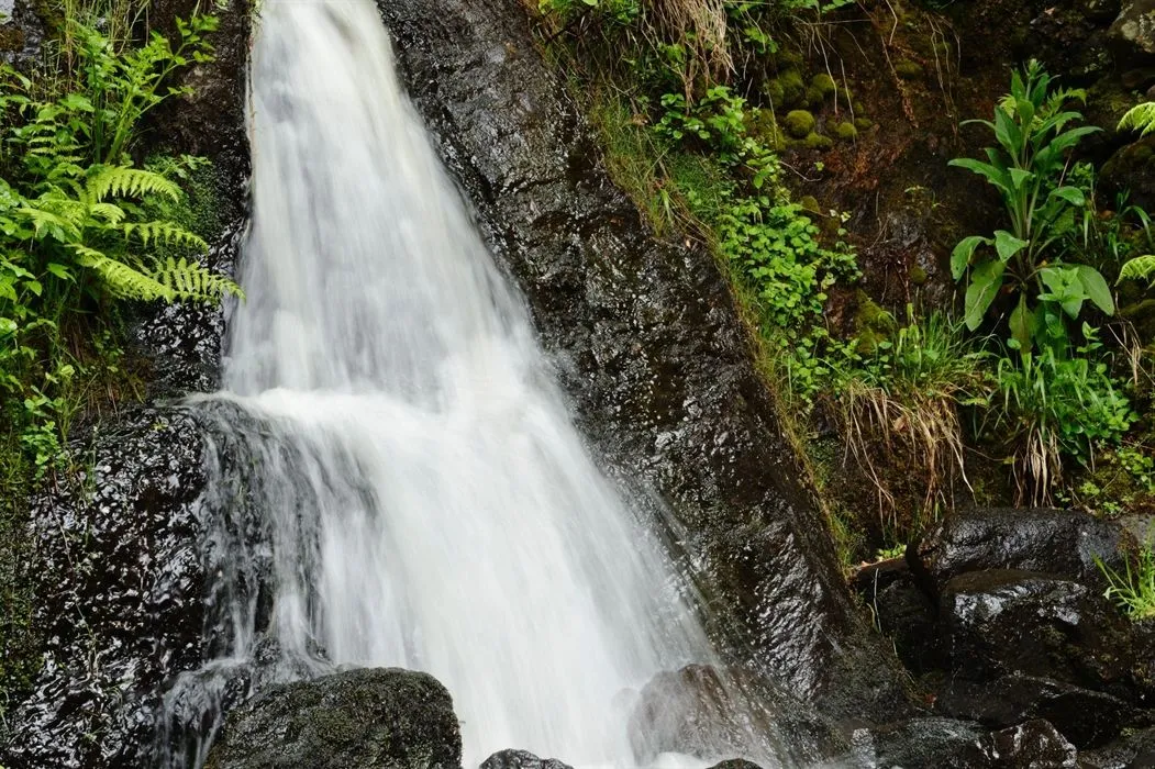 The image captures a beautiful waterfall cascading over dark rocks, surrounded by vibrant green moss and foliage. The water appears soft and flowing due to motion blur, which is a common photographic technique for waterfalls. The lighting is natural and even, highlighting the textures of the rocks and the lushness of the greenery.