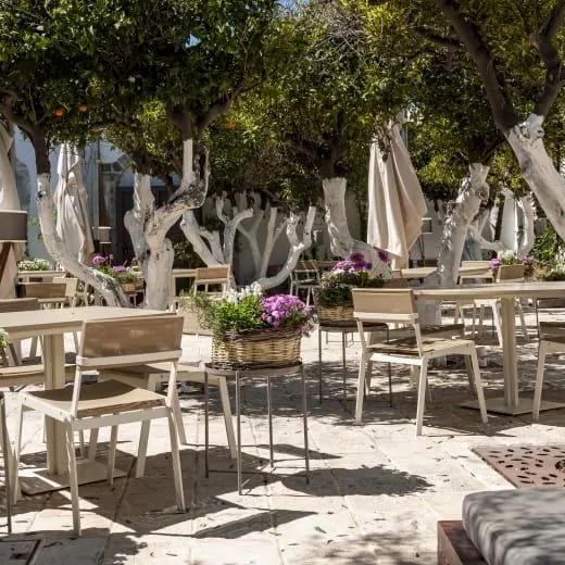 An inviting view of an outdoor dining area, characterized by white-painted tree trunks and lush green foliage, providing a natural canopy over several tables and chairs. Potted plants with purple flowers add a touch of color to the scene.