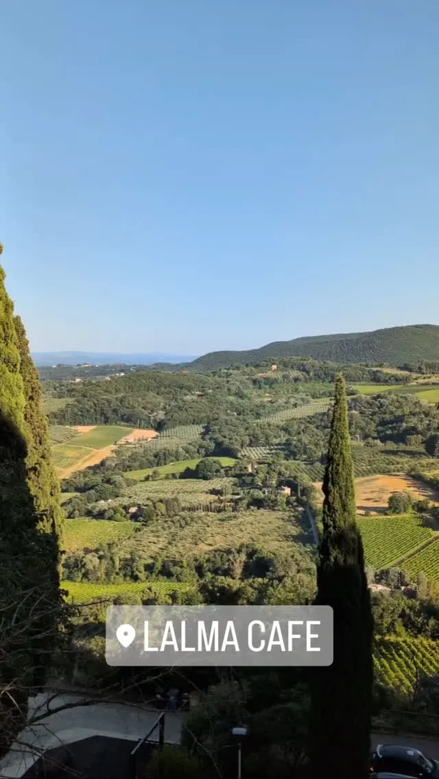 The image is an expansive, well-lit photograph of a vibrant, sunny landscape, likely in a region such as Tuscany. It features rolling hills covered with lush green foliage, interspersed with what appear to be vineyards and olive groves. Two tall, slender cypress trees frame the scene on either side, providing a sense of depth and scale. The sky is a clear, bright blue, contributing to the overall serene and picturesque atmosphere.