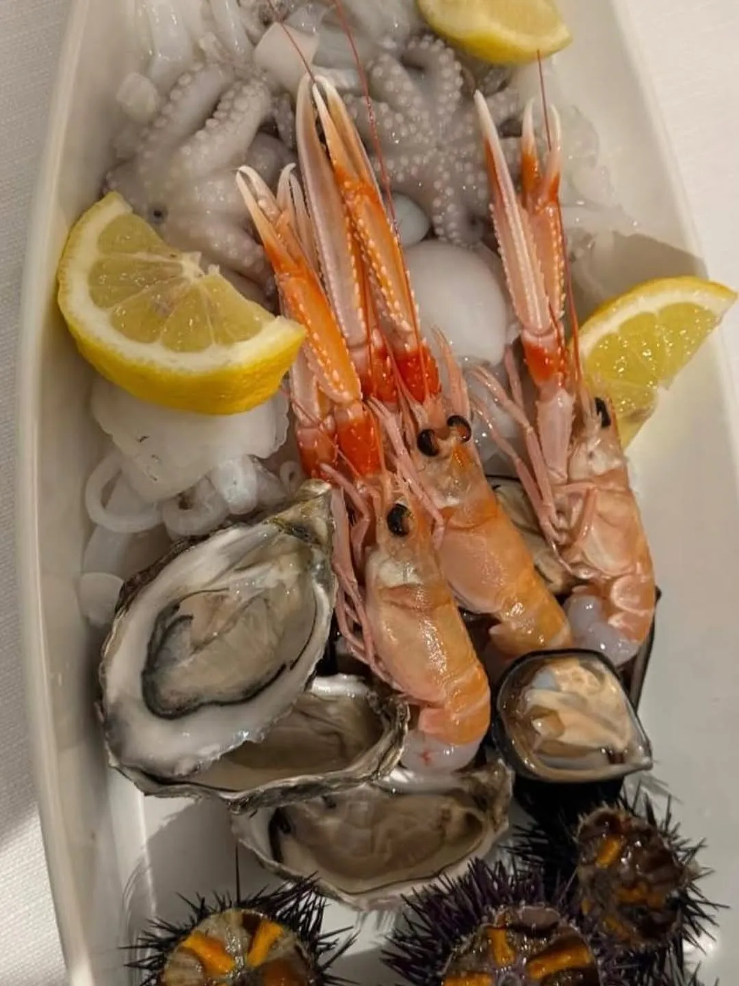A close-up shot of raw seafood, including langoustines, oysters, octopus, and calamari, garnished with lemon slices in a white dish.