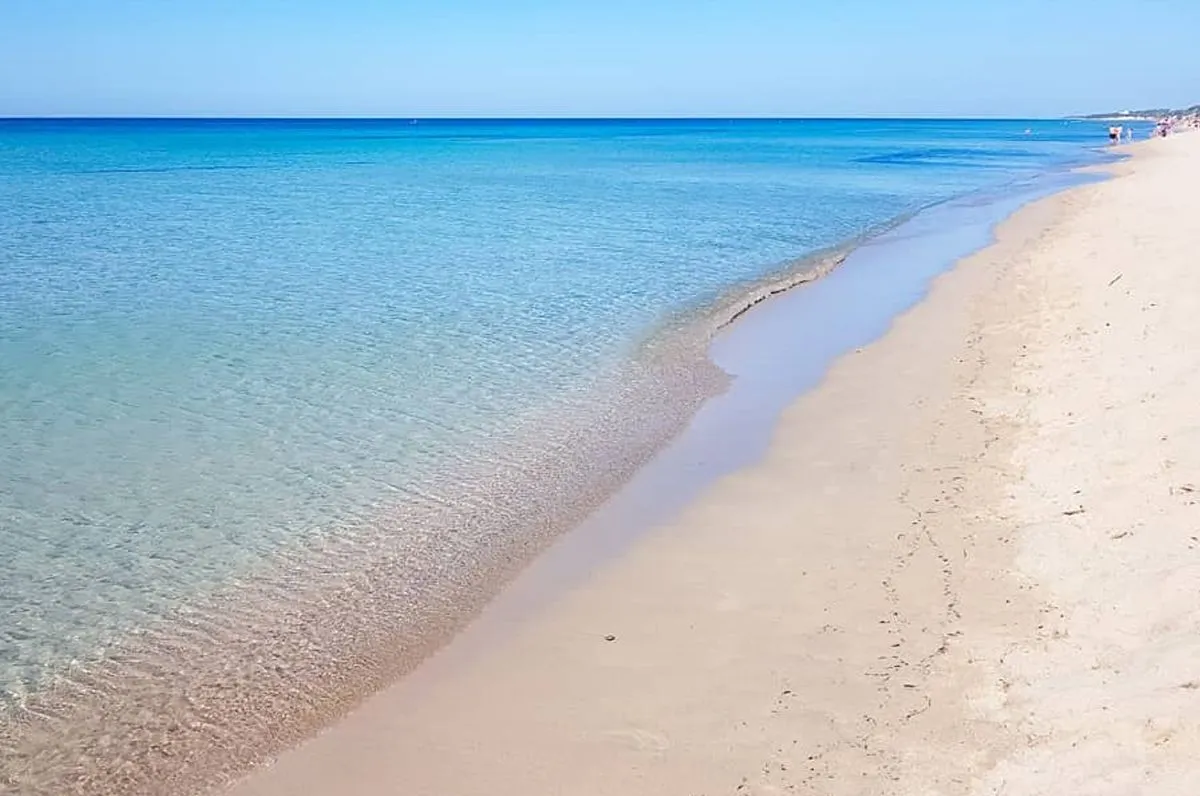 An inviting coastal scene showcasing a clear blue ocean meeting a light sandy beach under a bright sky. The water exhibits beautiful turquoise tones, transitioning from shallow, transparent areas to deeper blues at the horizon. The composition provides a sense of tranquility and natural beauty.