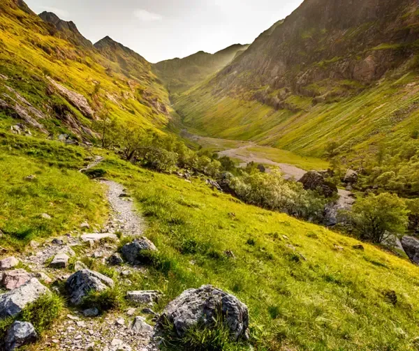 A scenic view of a lush green valley with mountains on either side, under bright sunlight, with a winding path leading into the distance.