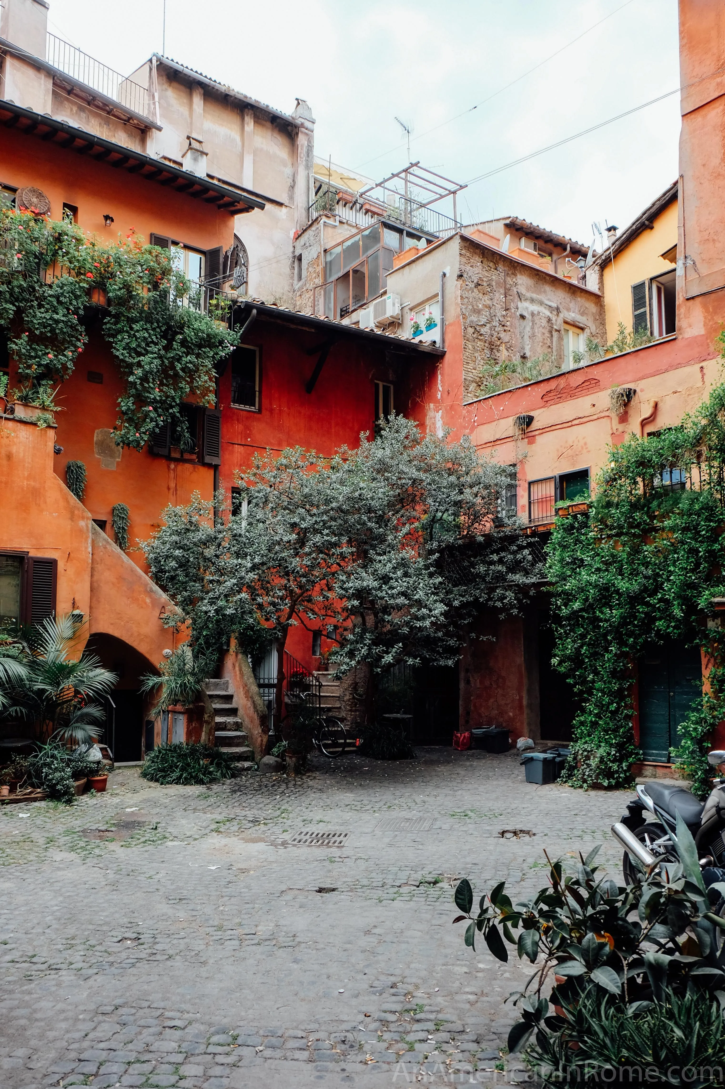 A charming outdoor shot of an ancient Italian courtyard with terracotta-colored buildings covered in green vines and foliage. A central tree stands prominently, and the ground is paved with cobblestones.