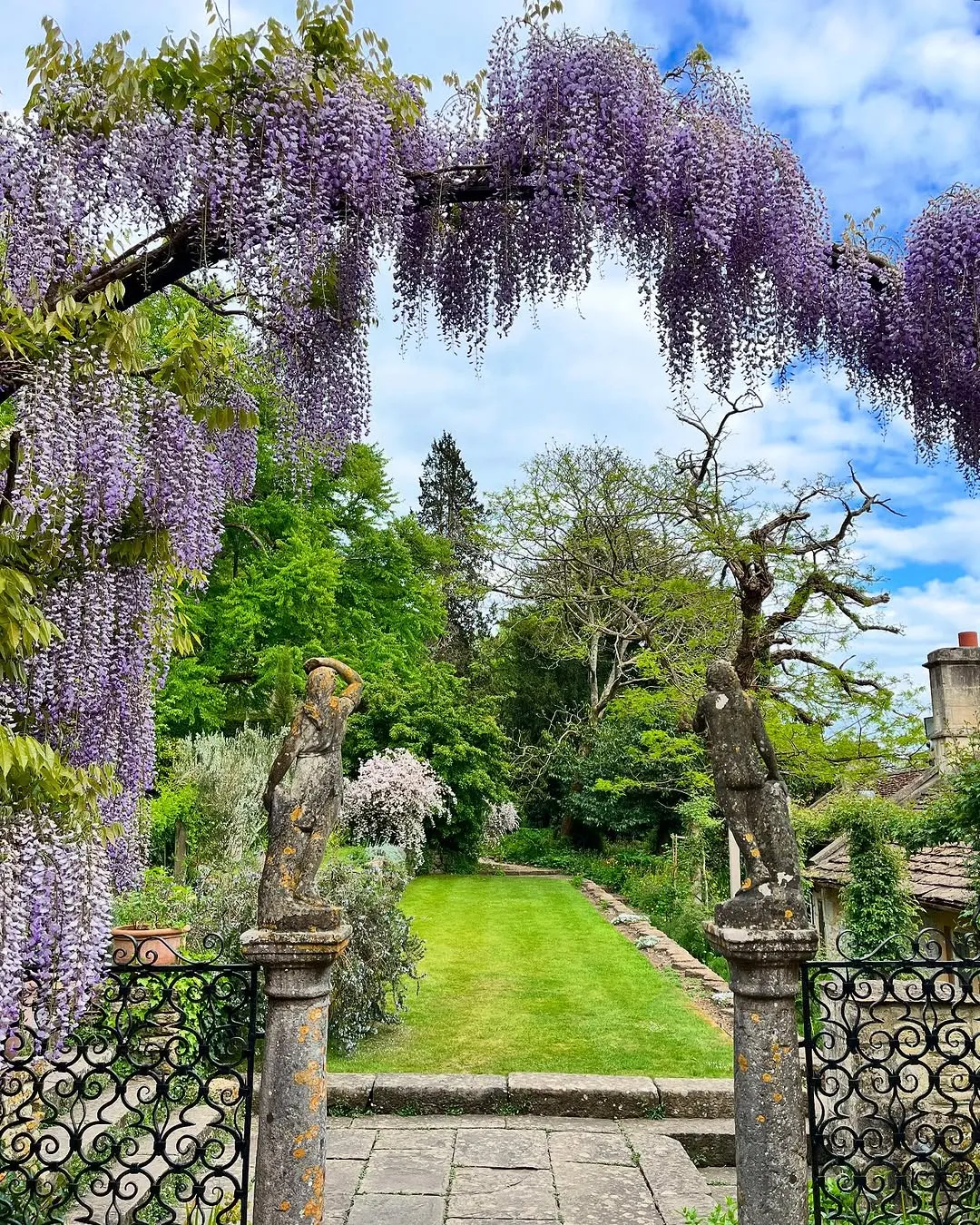 A picturesque view of a lush garden framed by a vibrant purple wisteria arch. Two weathered stone statues stand on either side of a manicured green lawn, leading towards distant trees and a traditional building under a bright sky.