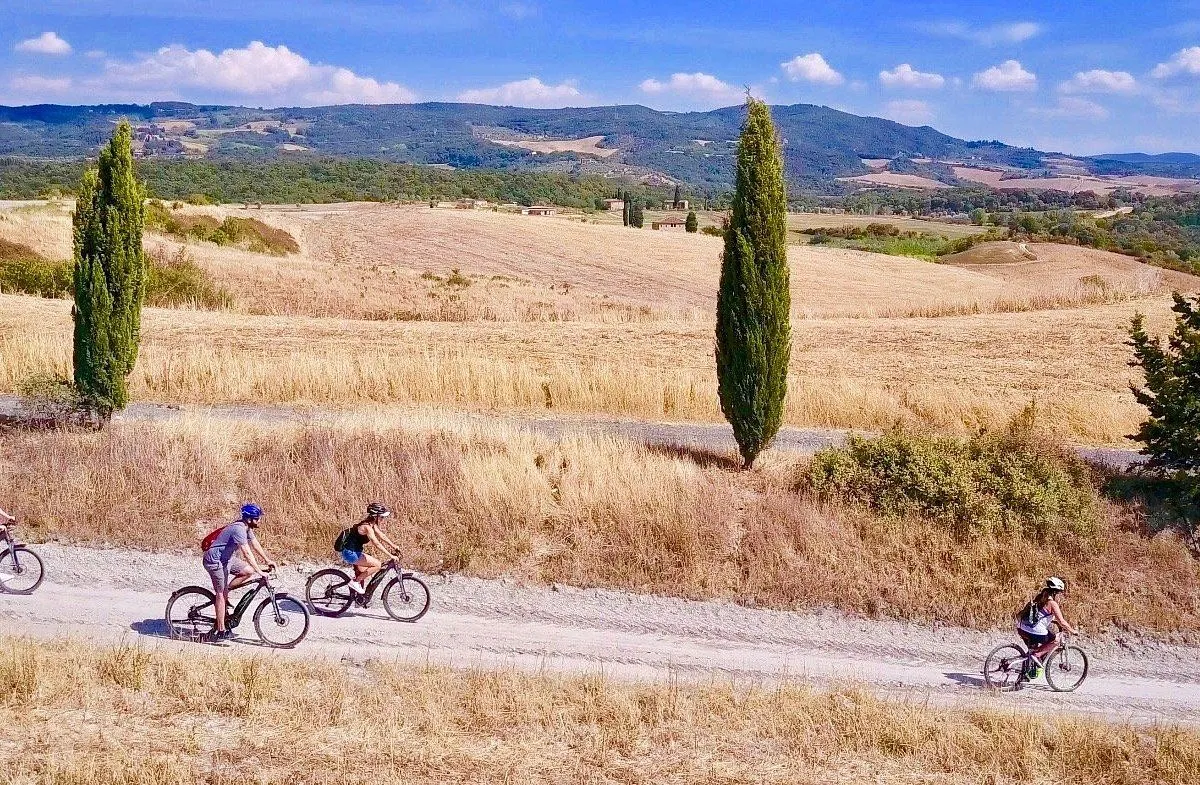 The image is well-composed, capturing a serene rural landscape with a clear blue sky, distant hills, and golden fields. The lighting is excellent, providing natural illumination to the scene. Key elements like the cyclists and the prominent tree are sharp and in focus, contributing to the overall photo-realistic quality. Colors are accurate, reflecting the natural hues of the environment.