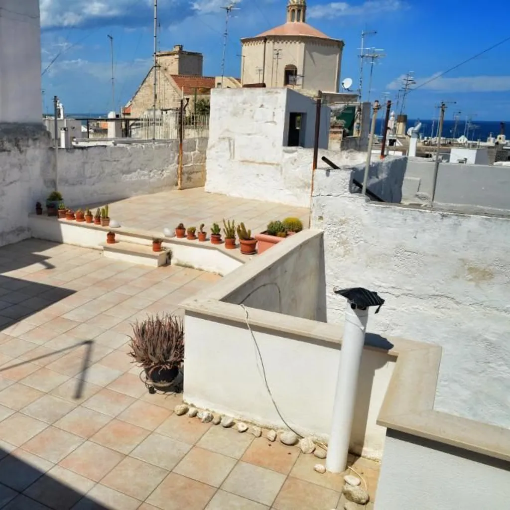 An editorial style image showcasing a sun-drenched rooftop terrace, offering a glimpse of residential architecture and distant views. The scene features white-washed walls, tiled flooring, and various potted cactus plants, typical of Mediterranean or southern European settings. In the background, other buildings and a church dome are visible under a blue sky.
